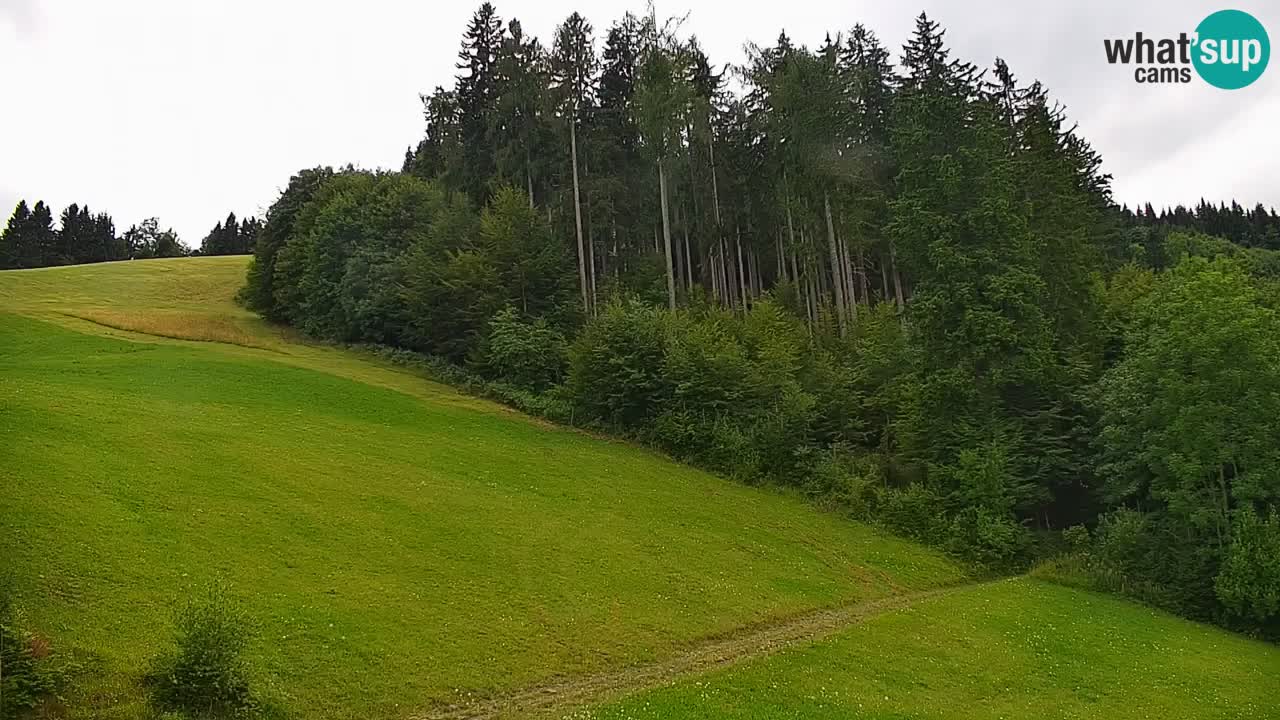 Skigebiet Stari Vrh Live Webcam – Slowenien