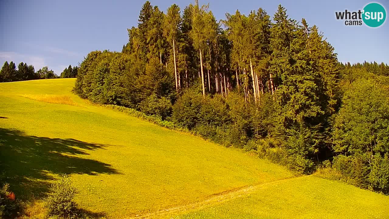 Smučišče Stari Vrh Spletna kamera – vrtljiva