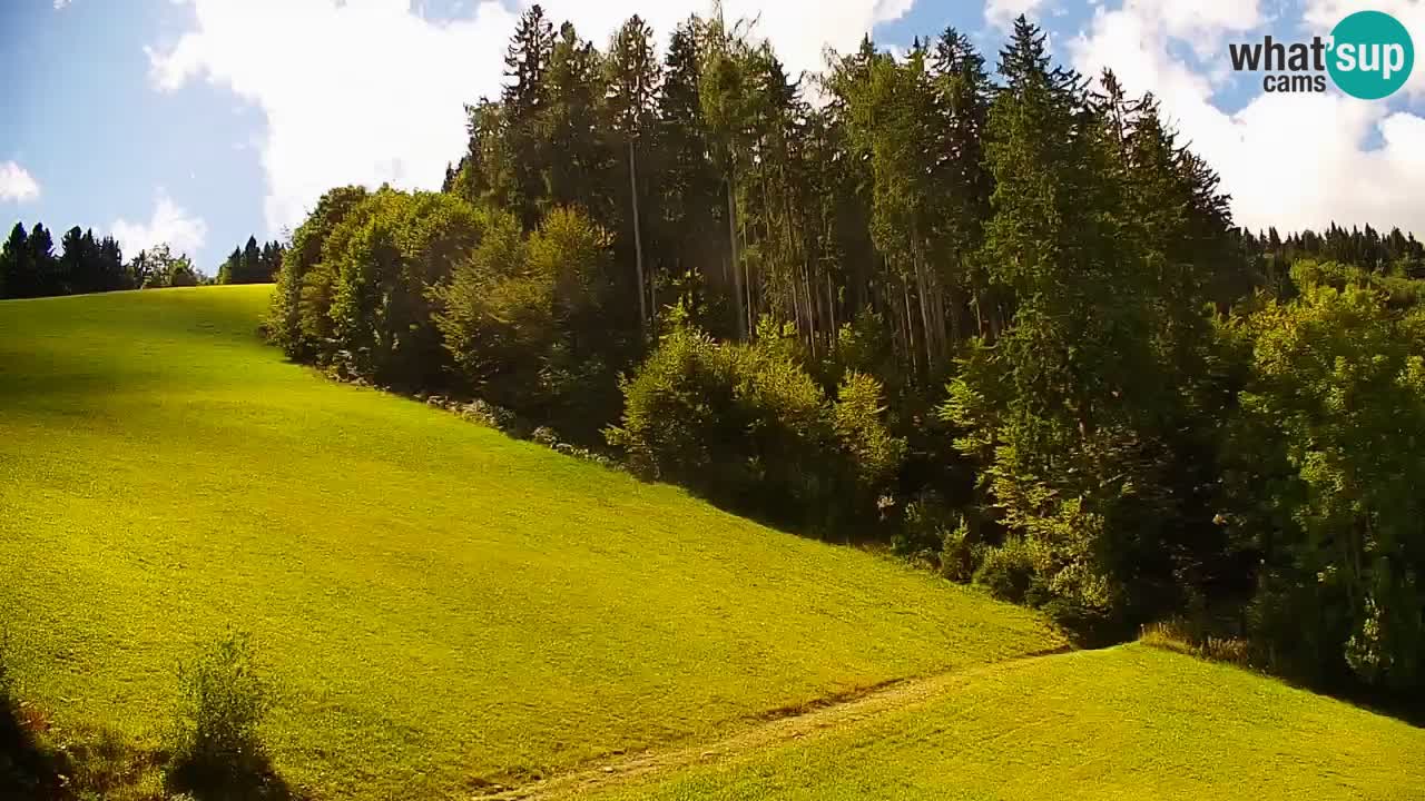 Skigebiet Stari Vrh Live Webcam – Slowenien