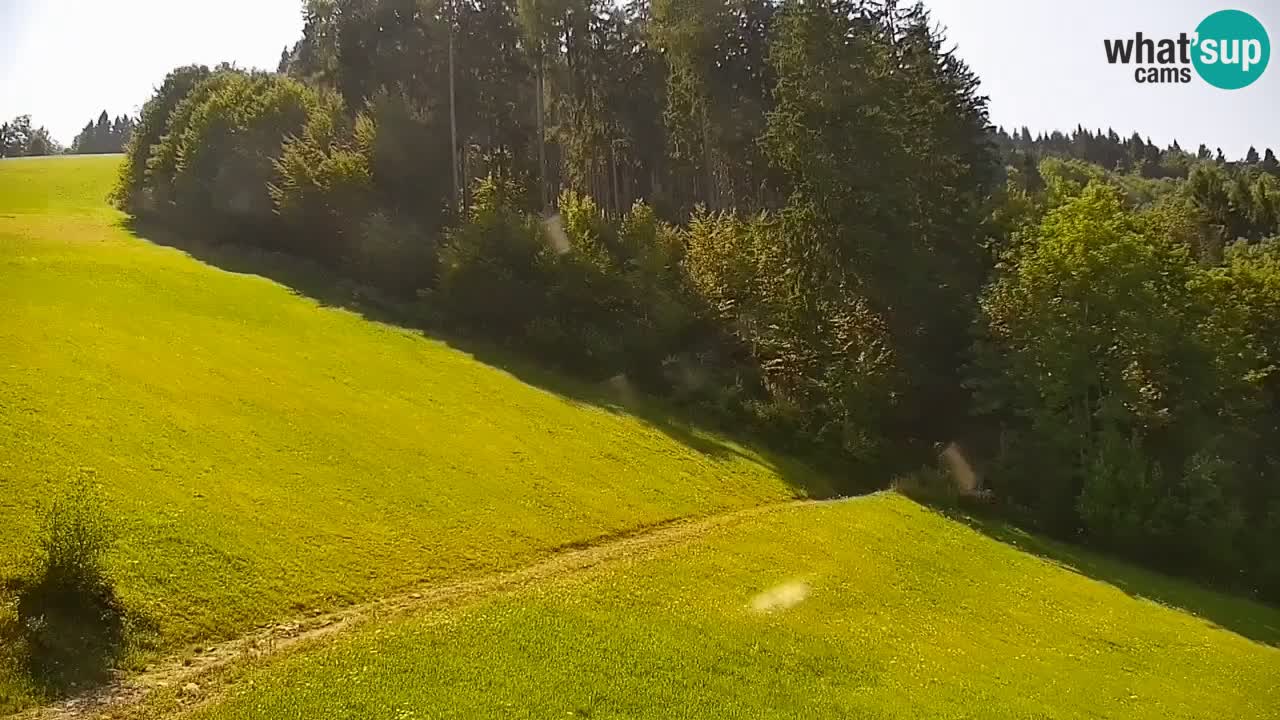 Skigebiet Stari Vrh Live Webcam – Slowenien