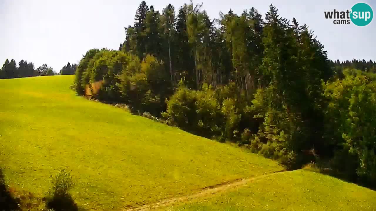 Skigebiet Stari Vrh Live Webcam – Slowenien