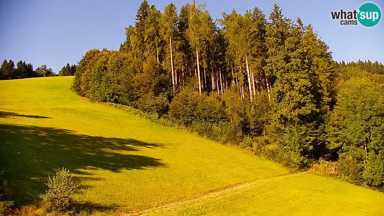 Stazione sciistica di Stari Vrh Webcam in diretta – Slovenia