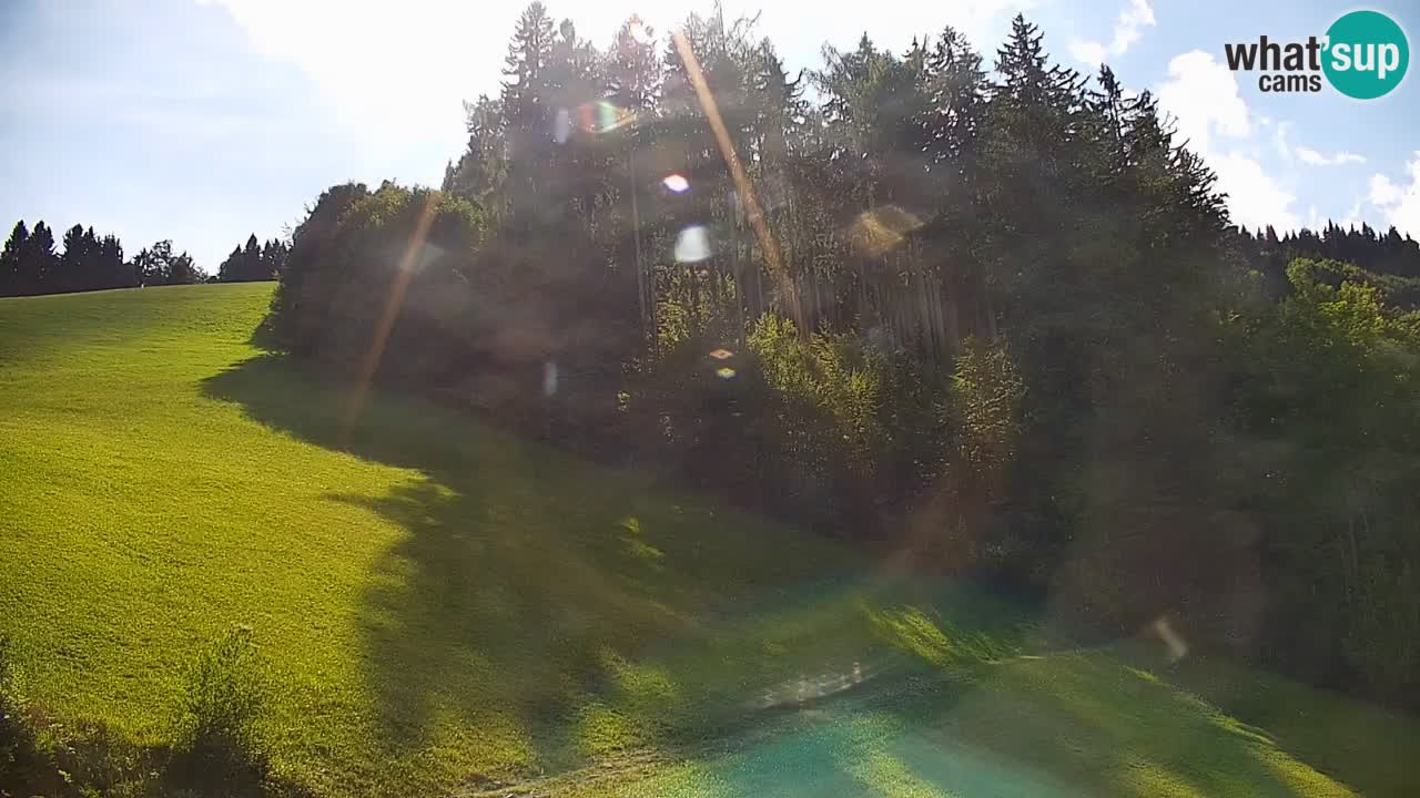 Stazione sciistica di Stari Vrh Webcam in diretta – Slovenia