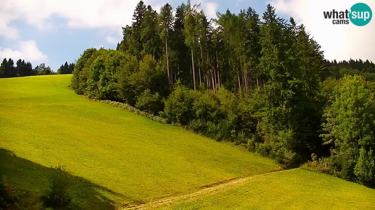 Smučišče Stari Vrh Spletna kamera – vrtljiva