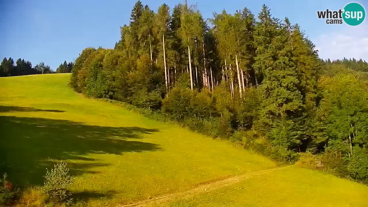Estación de esquí Stari Vrh Cámara web en vivo – Eslovenia