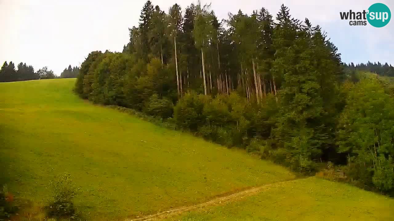 Stazione sciistica di Stari Vrh Webcam in diretta – Slovenia