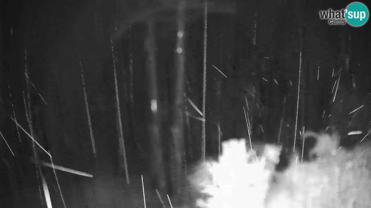 Stari Vrh Ski resort Live webcam – Slovenia