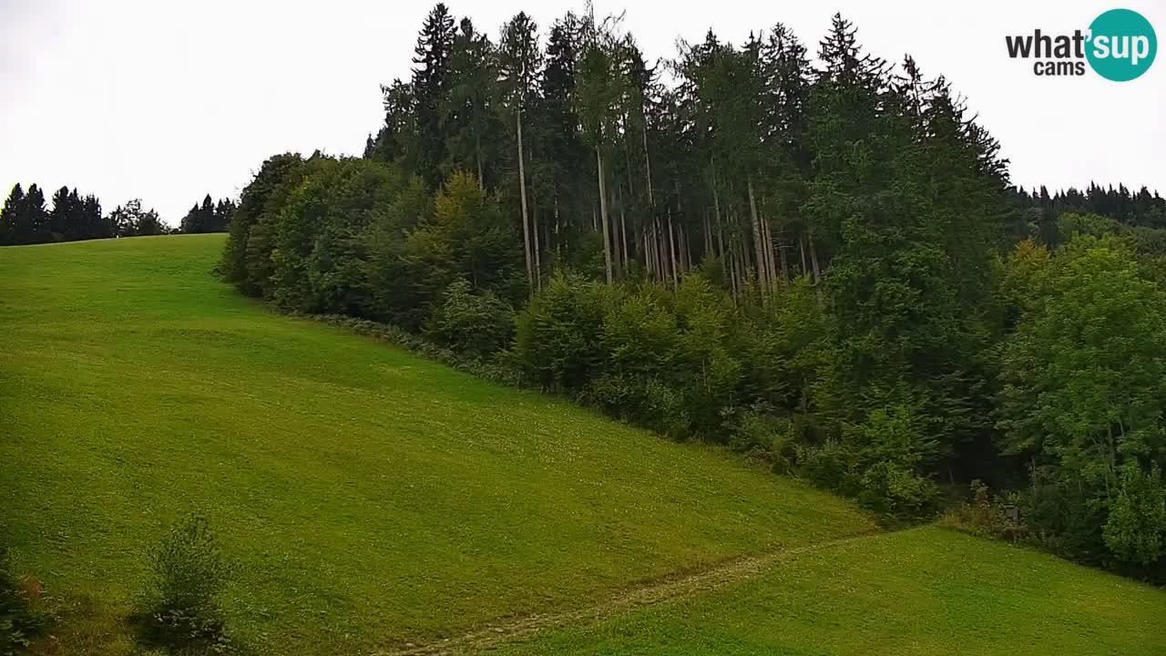 Webcam en direct de la station de ski de Stari Vrh – Slovénie