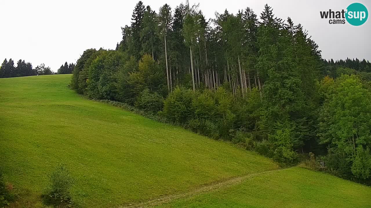 Skigebiet Stari Vrh Live Webcam – Slowenien