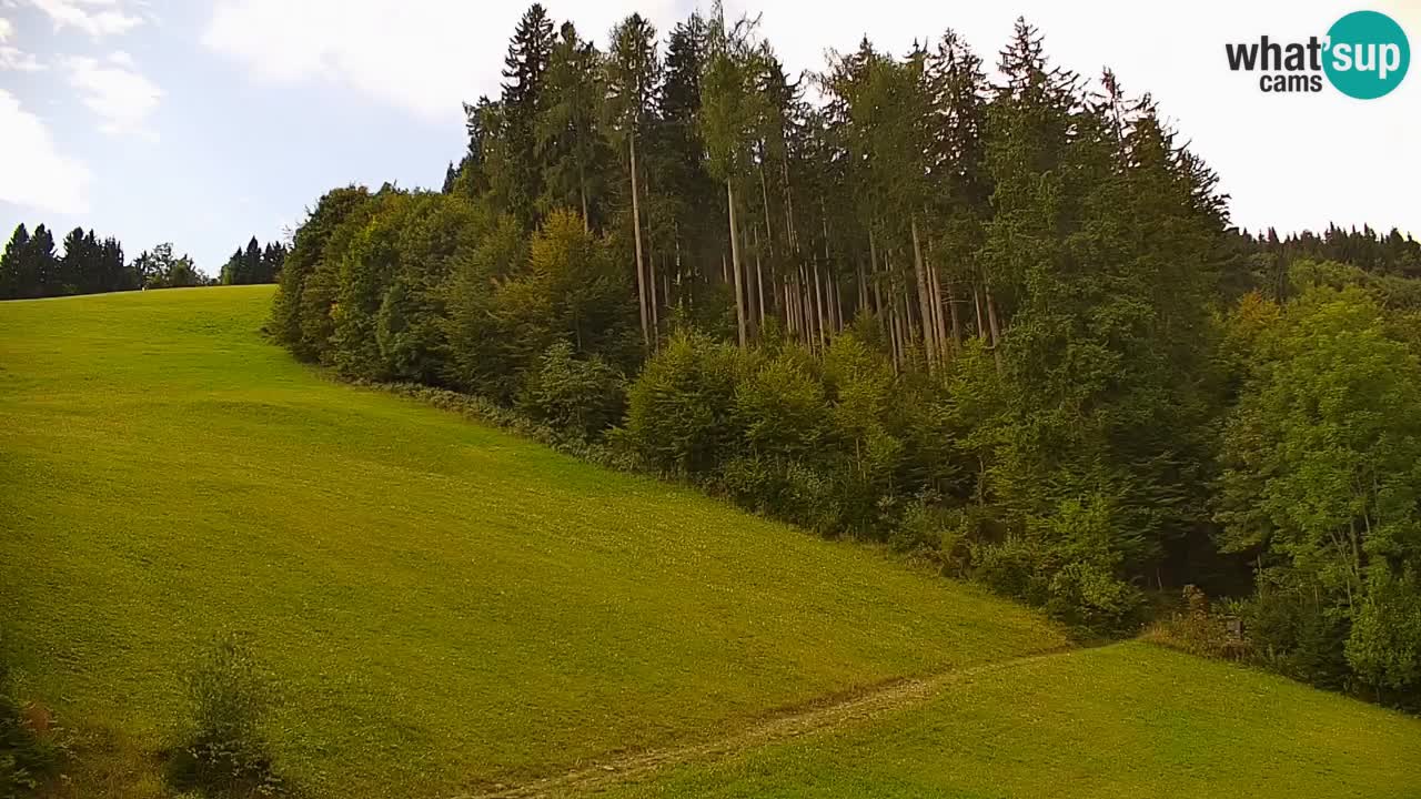 Stazione sciistica di Stari Vrh Webcam in diretta – Slovenia