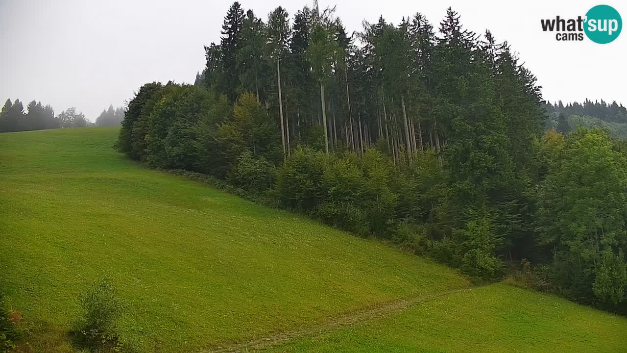 Stazione sciistica di Stari Vrh Webcam in diretta – Slovenia