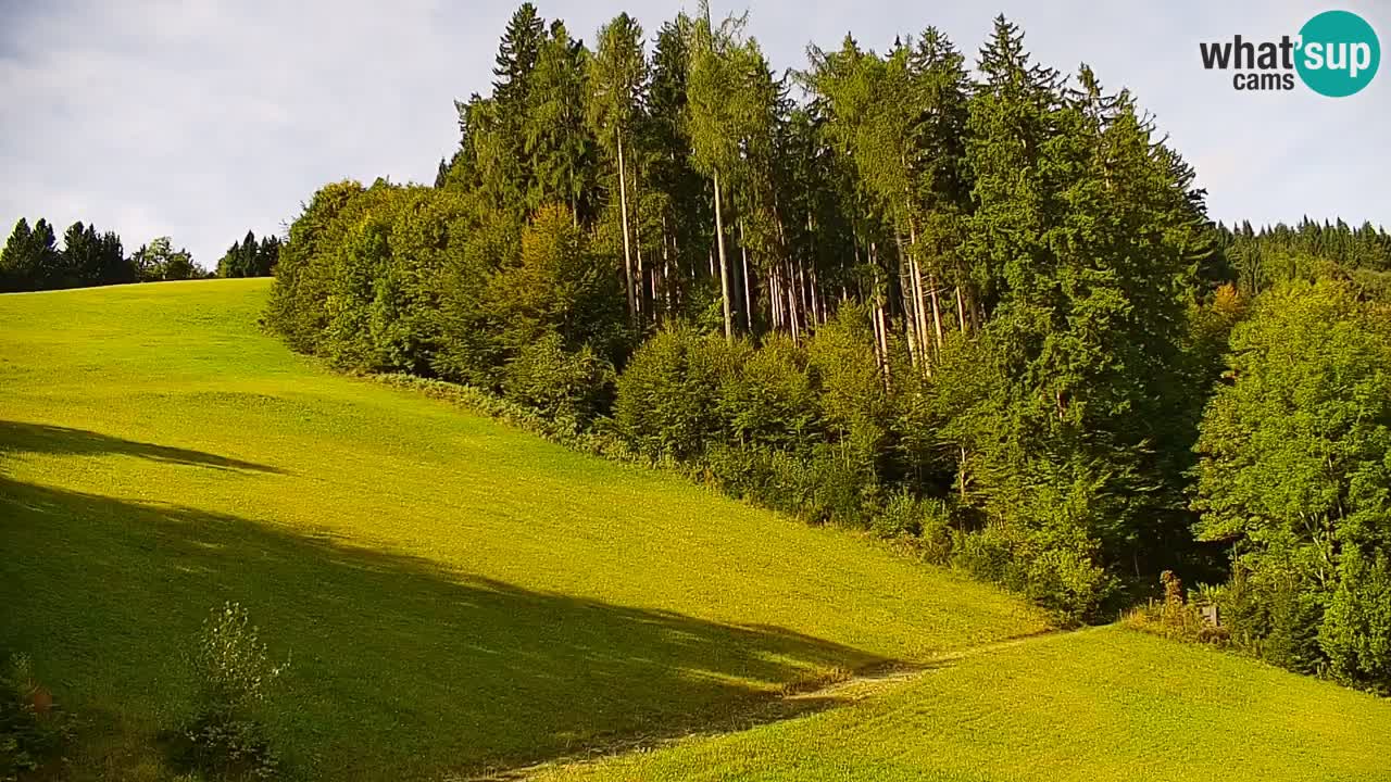 Skijalište Stari Vrh Web kamera uživo – Slovenija
