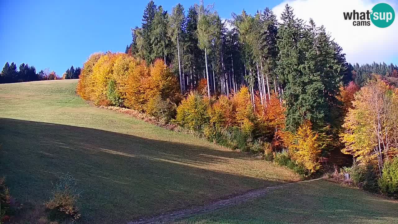 Webcam en direct de la station de ski de Stari Vrh – Slovénie