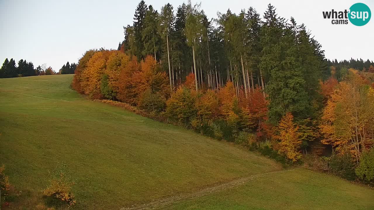 Skigebiet Stari Vrh Live Webcam – Slowenien