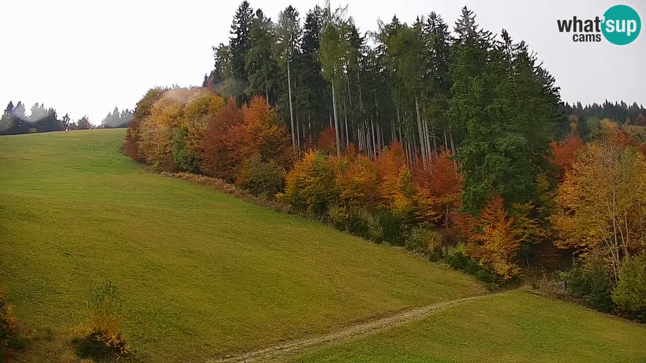 Stari Vrh Ski resort Live webcam – Slovenia
