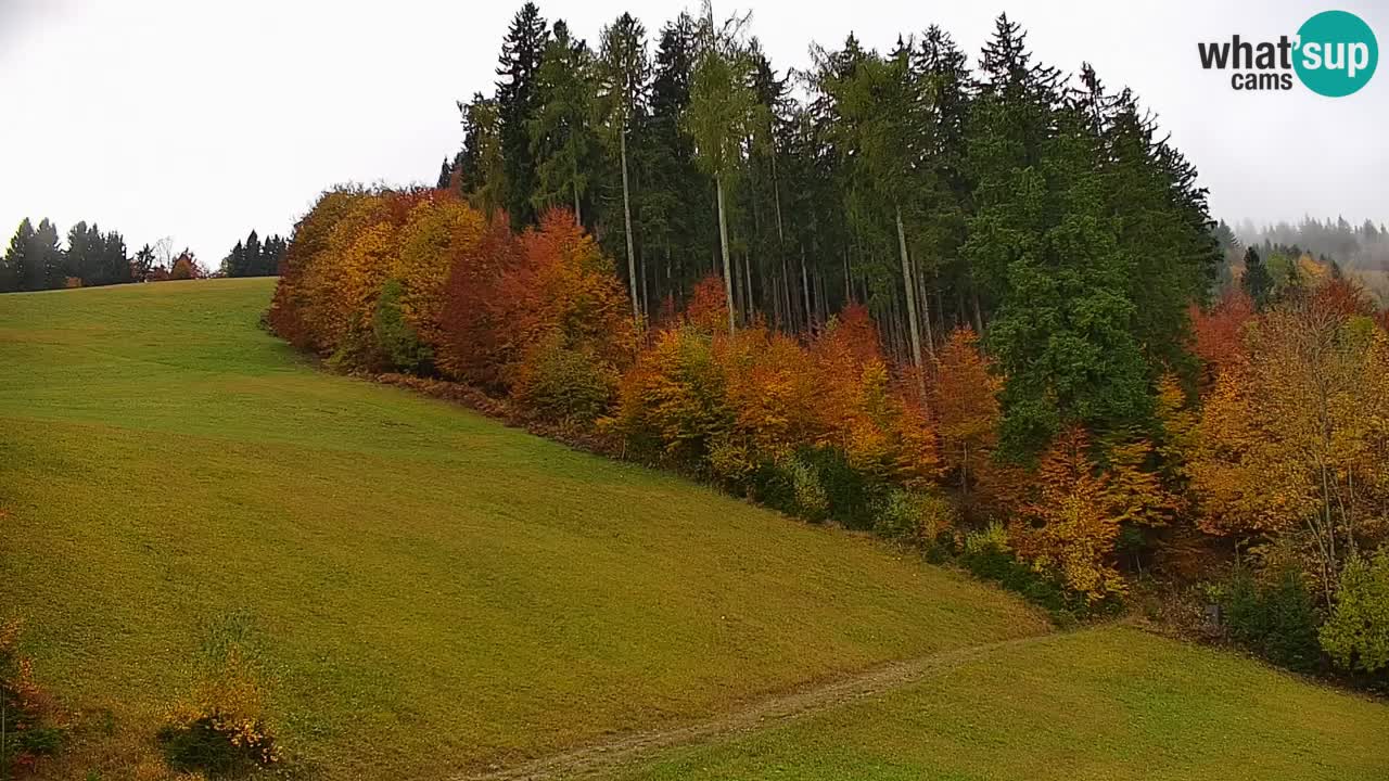 Skigebiet Stari Vrh Live Webcam – Slowenien
