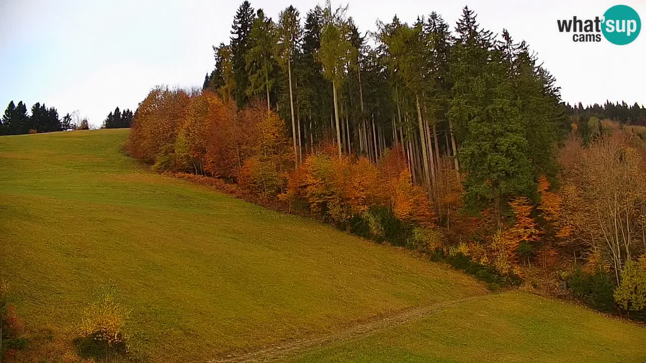 Webcam en direct de la station de ski de Stari Vrh – Slovénie