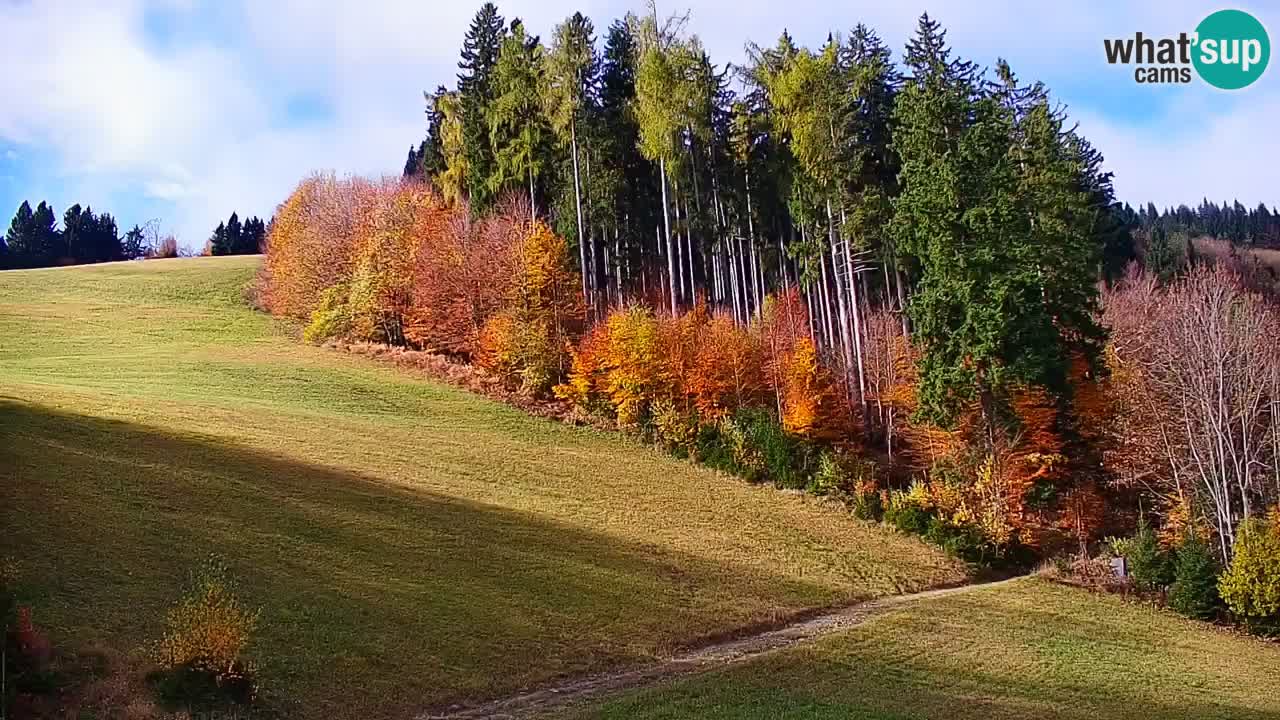 Skigebiet Stari Vrh Live Webcam – Slowenien