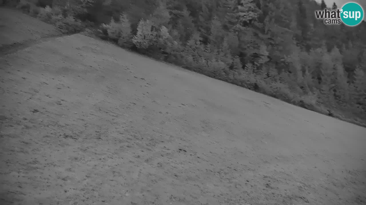 Stazione sciistica di Stari Vrh Webcam in diretta – Slovenia