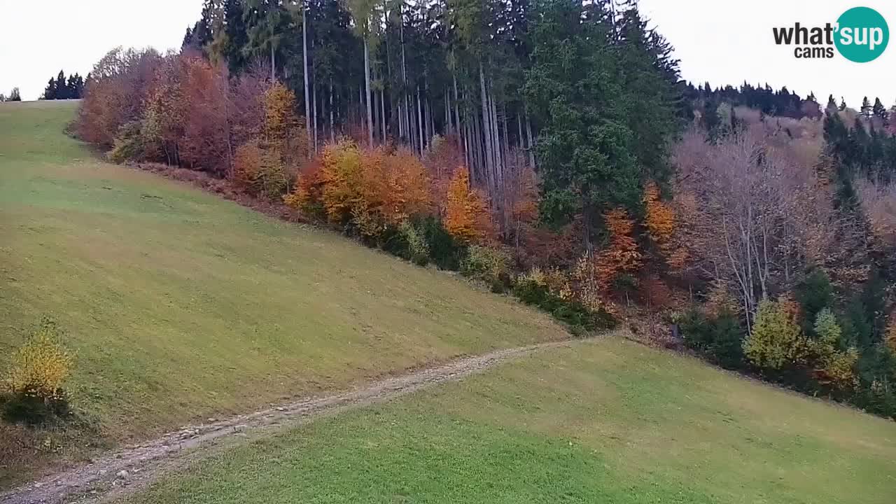 Stazione sciistica di Stari Vrh Webcam in diretta – Slovenia
