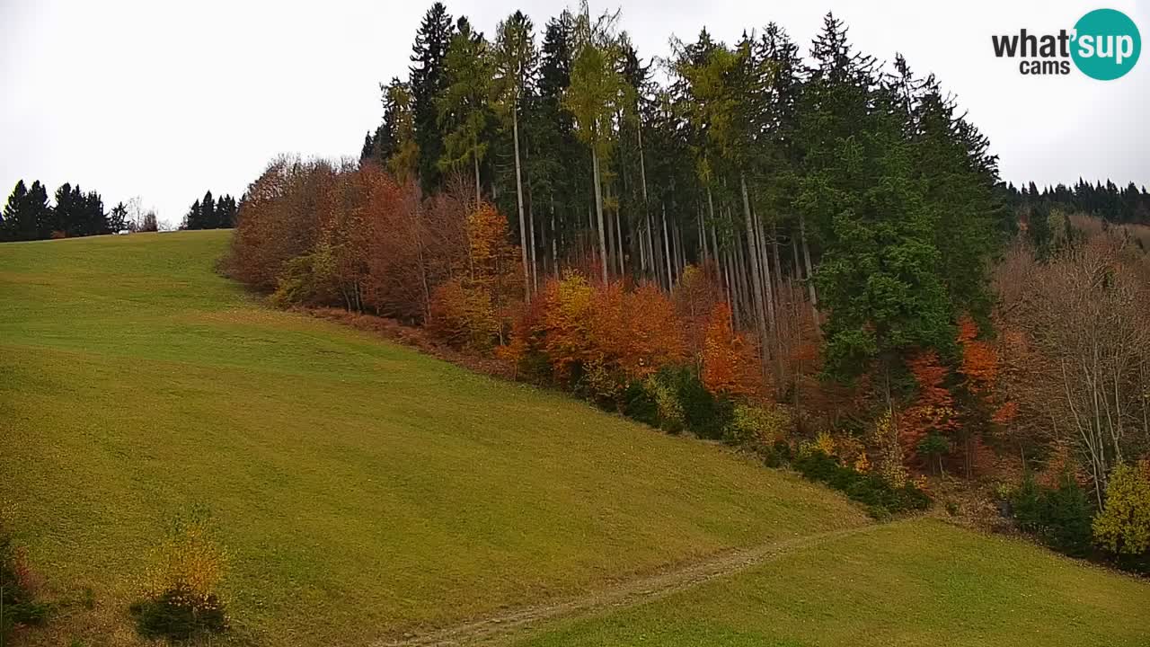 Estación de esquí Stari Vrh Cámara web en vivo – Eslovenia