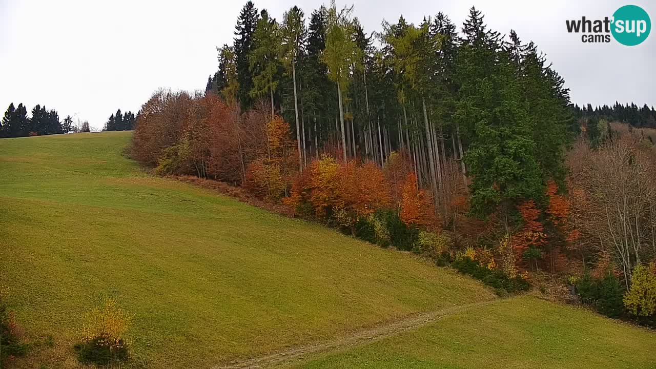 Stari Vrh Ski resort Live webcam – Slovenia