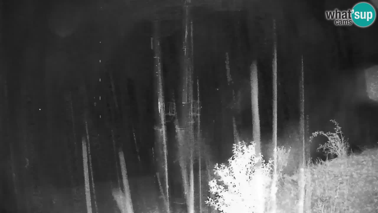 Stari Vrh Ski resort Live webcam – Slovenia