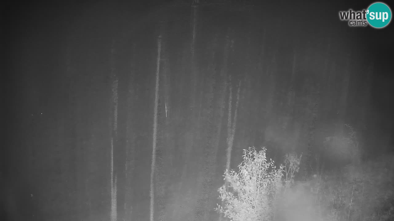 Skigebiet Stari Vrh Live Webcam – Slowenien