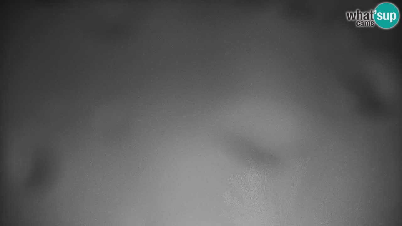 Stari Vrh Ski resort Live webcam – Slovenia