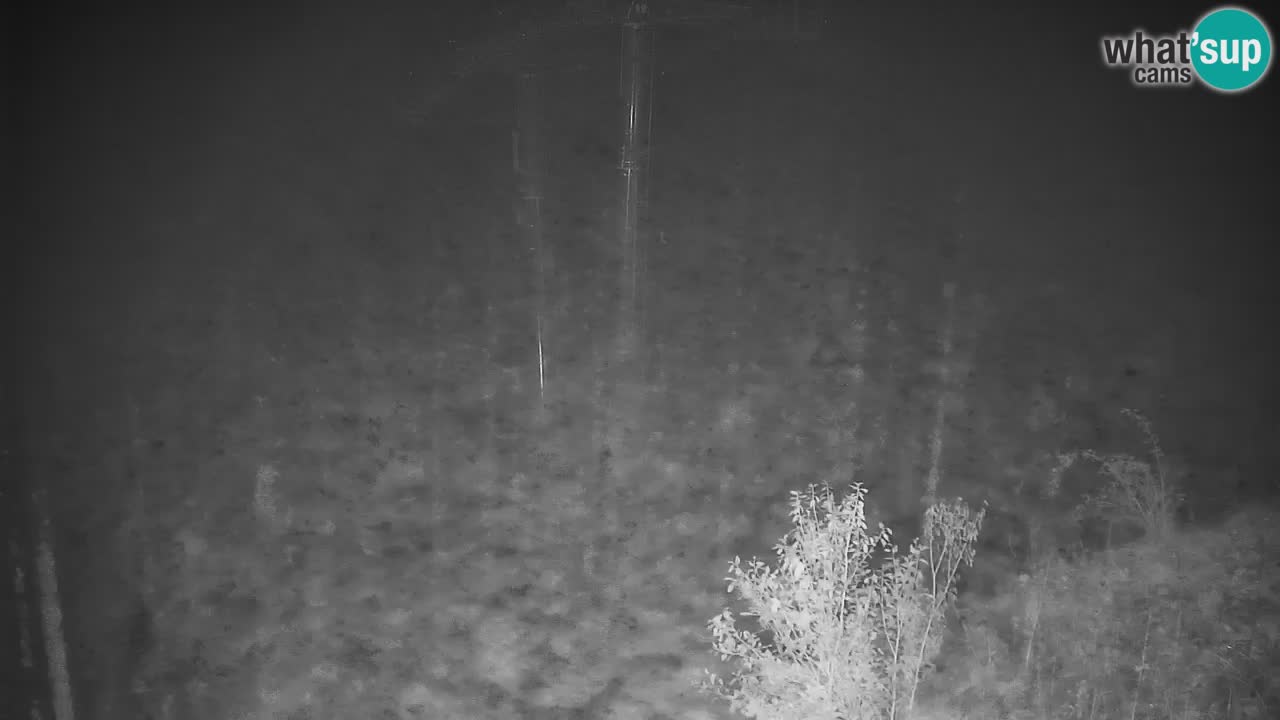Estación de esquí Stari Vrh Cámara web en vivo – Eslovenia