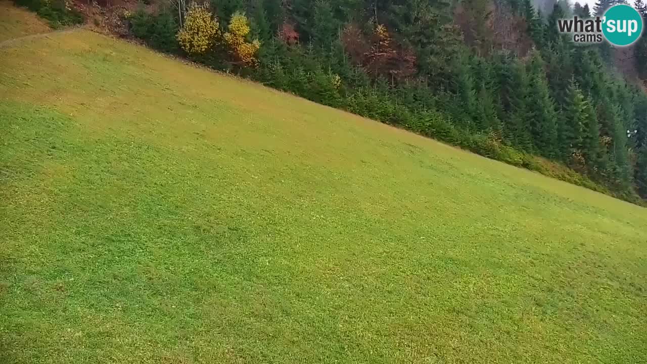 Webcam en direct de la station de ski de Stari Vrh – Slovénie