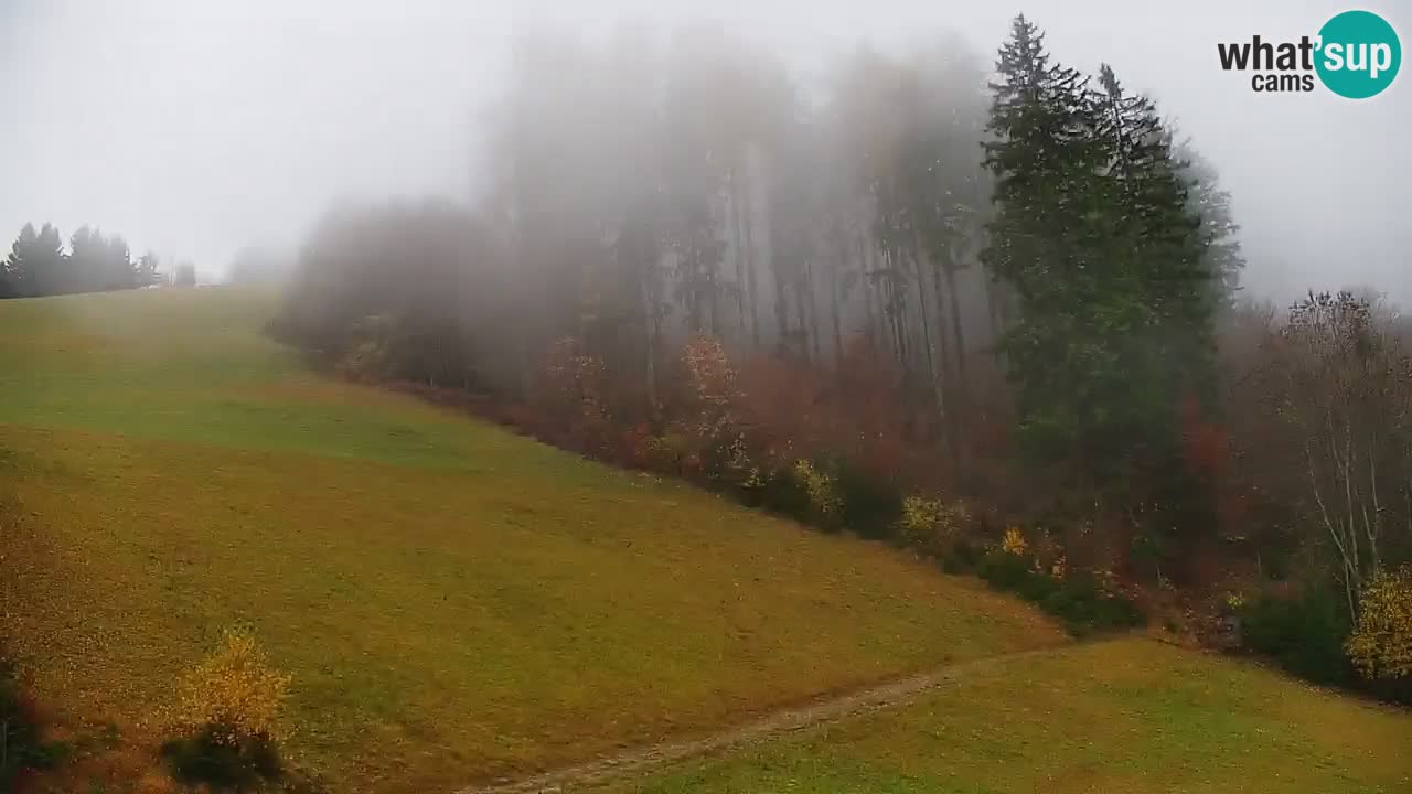Smučišče Stari Vrh Spletna kamera – vrtljiva