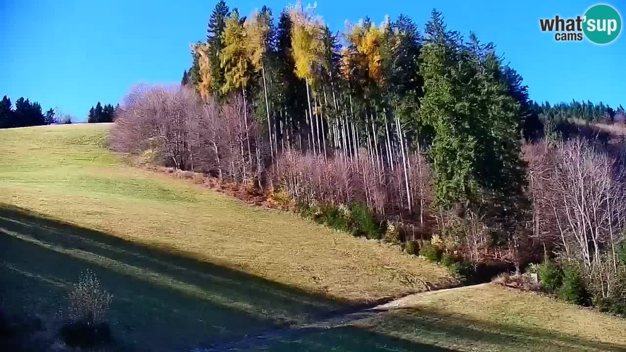 Stari Vrh Ski resort Live webcam – Slovenia