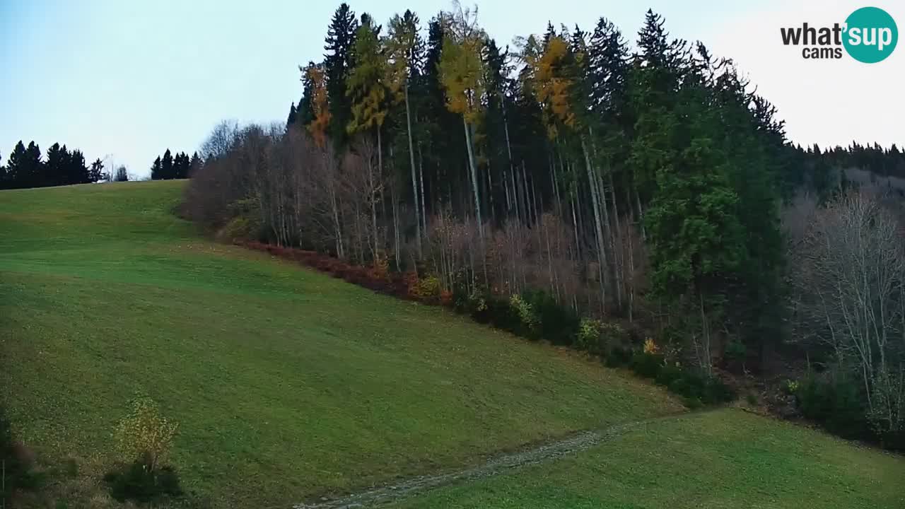 Smučišče Stari Vrh Spletna kamera – vrtljiva