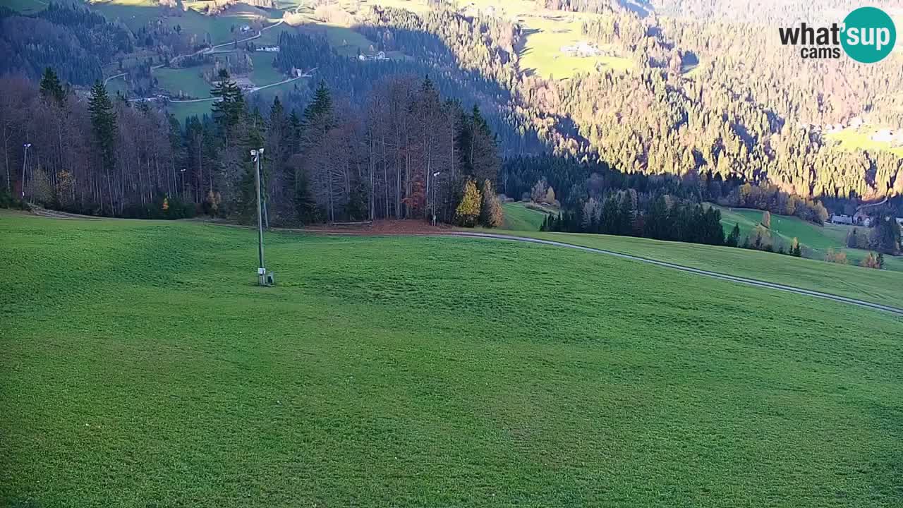 Skijalište Stari Vrh Web kamera uživo – Slovenija