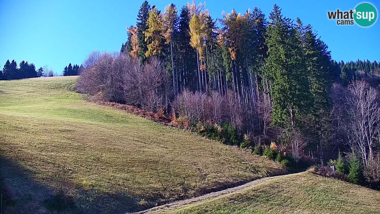 Stari Vrh Ski resort Live webcam – Slovenia