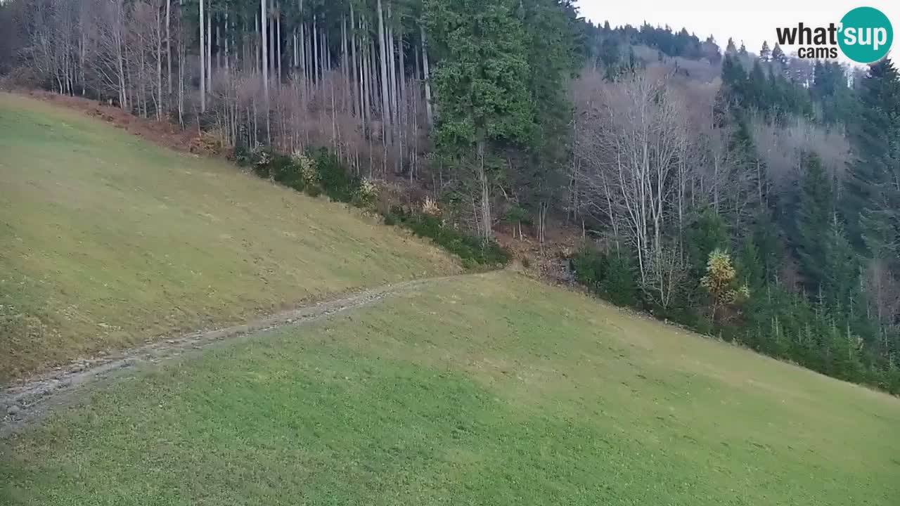 Smučišče Stari Vrh Spletna kamera – vrtljiva