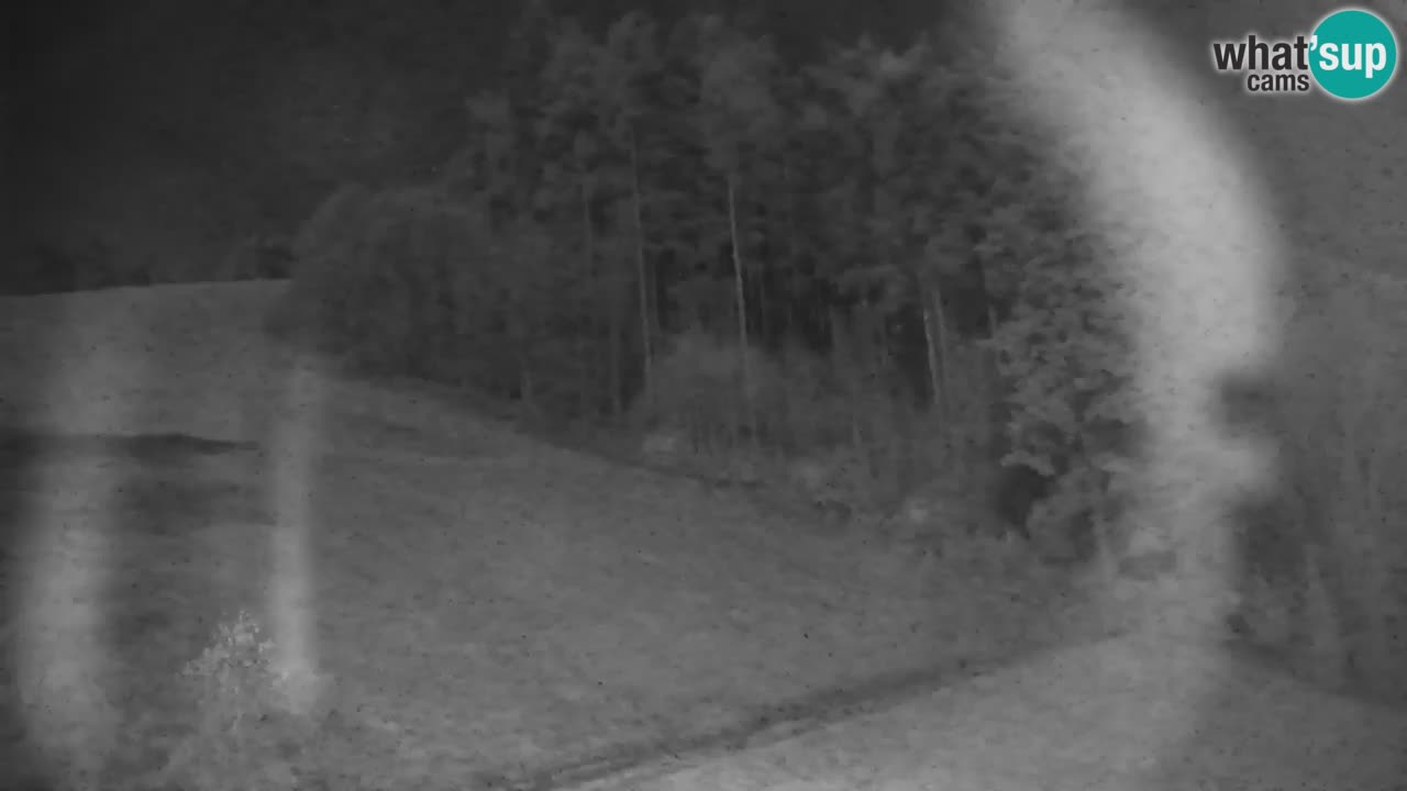 Estación de esquí Stari Vrh Cámara web en vivo – Eslovenia