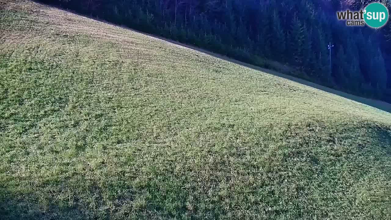 Skijalište Stari Vrh Web kamera uživo – Slovenija