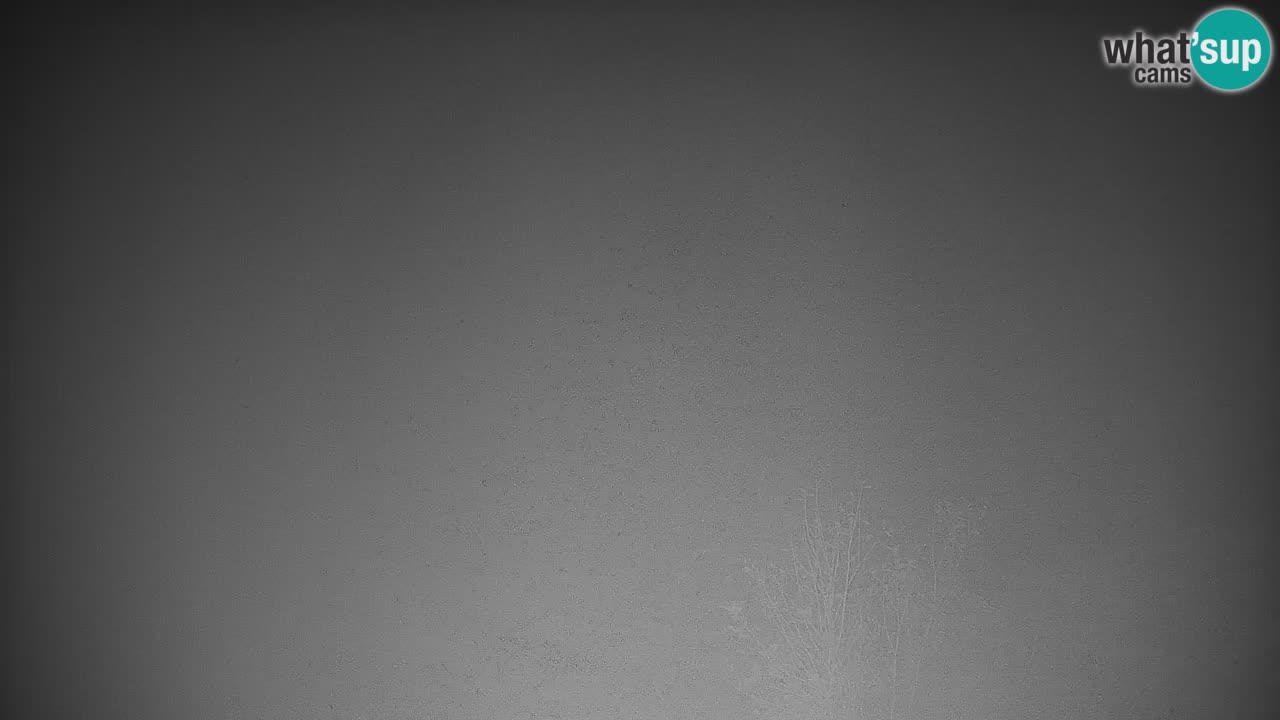 Webcam en direct de la station de ski de Stari Vrh – Slovénie