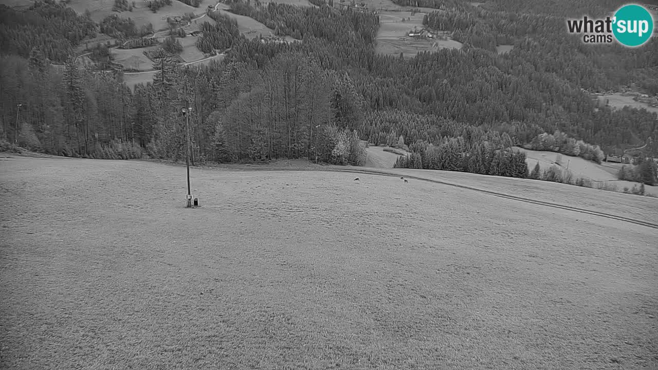 Smučišče Stari Vrh Spletna kamera – vrtljiva