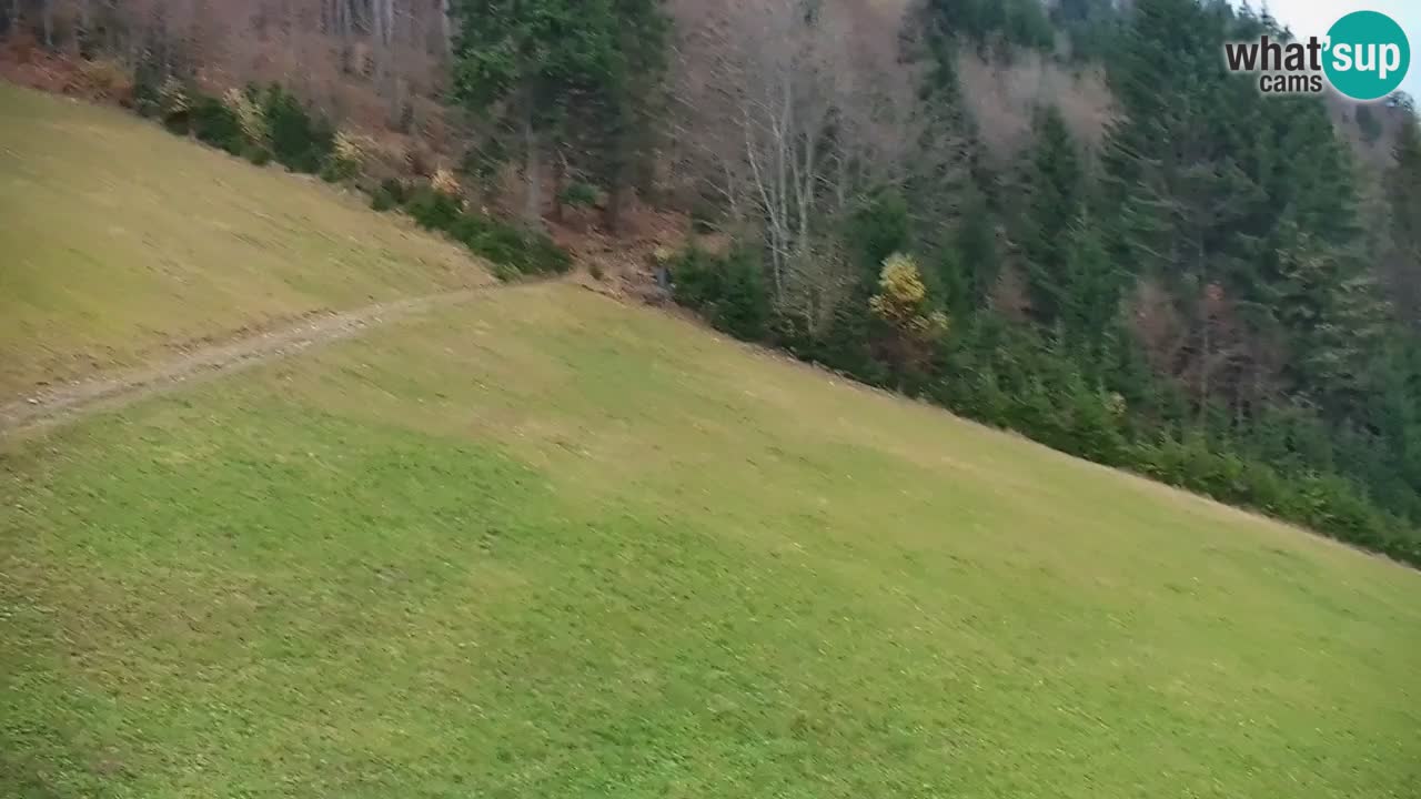 Smučišče Stari Vrh Spletna kamera – vrtljiva