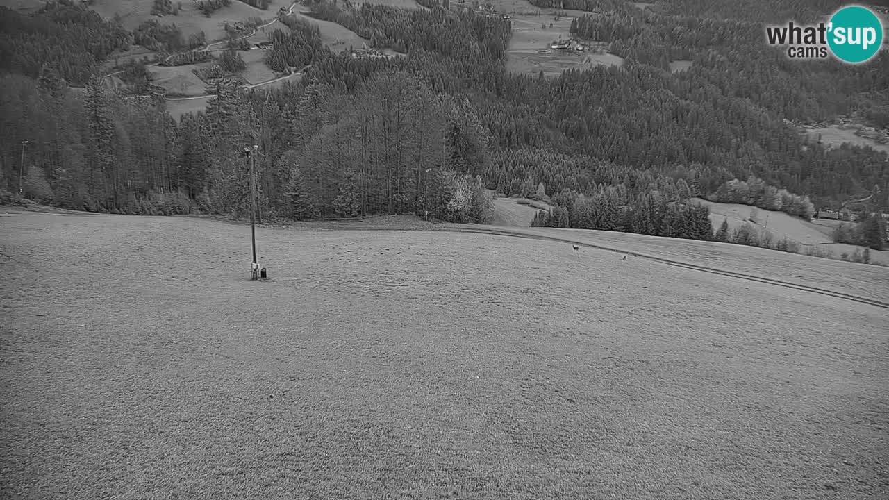 Webcam en direct de la station de ski de Stari Vrh – Slovénie
