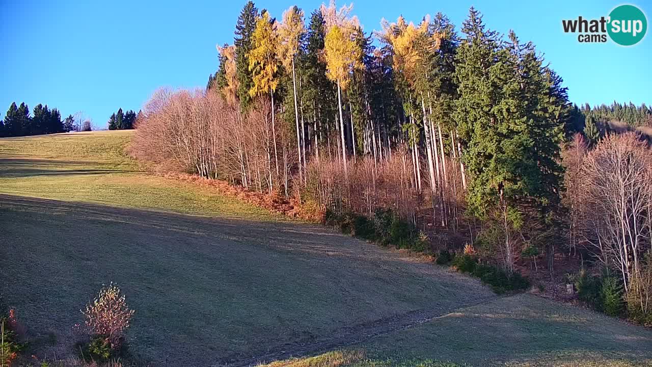 Skigebiet Stari Vrh Live Webcam – Slowenien