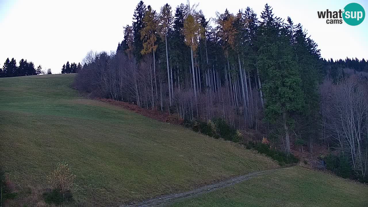Skigebiet Stari Vrh Live Webcam – Slowenien