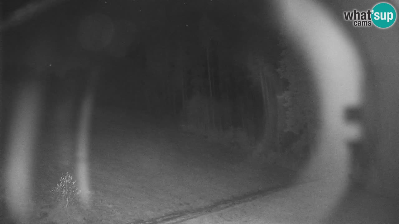 Stazione sciistica di Stari Vrh Webcam in diretta – Slovenia