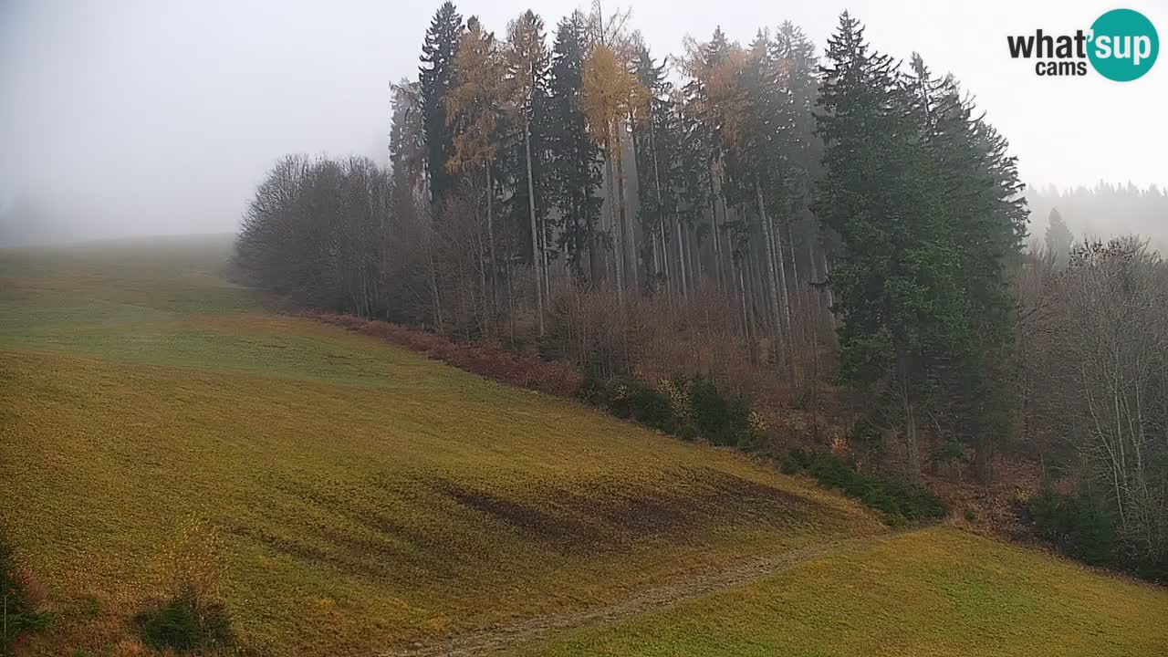 Smučišče Stari Vrh Spletna kamera – vrtljiva