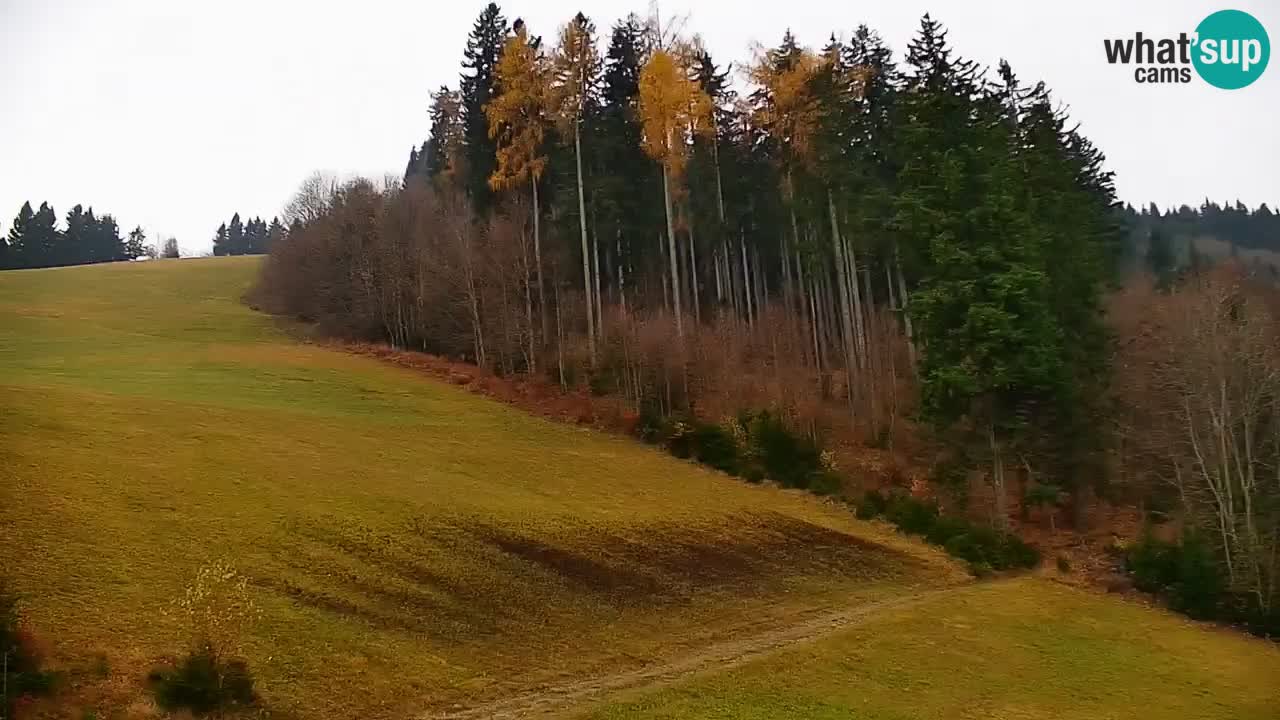 Estación de esquí Stari Vrh Cámara web en vivo – Eslovenia