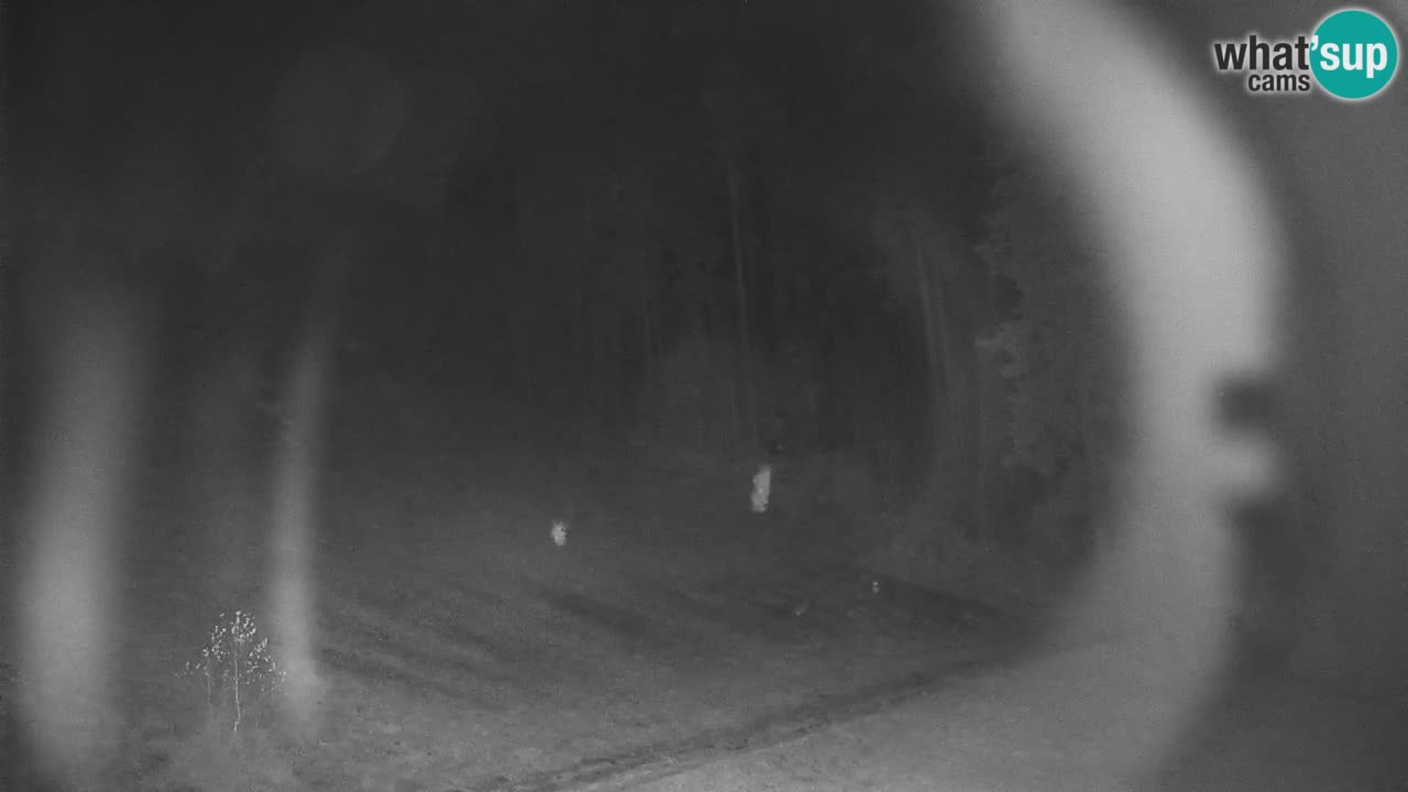 Stazione sciistica di Stari Vrh Webcam in diretta – Slovenia