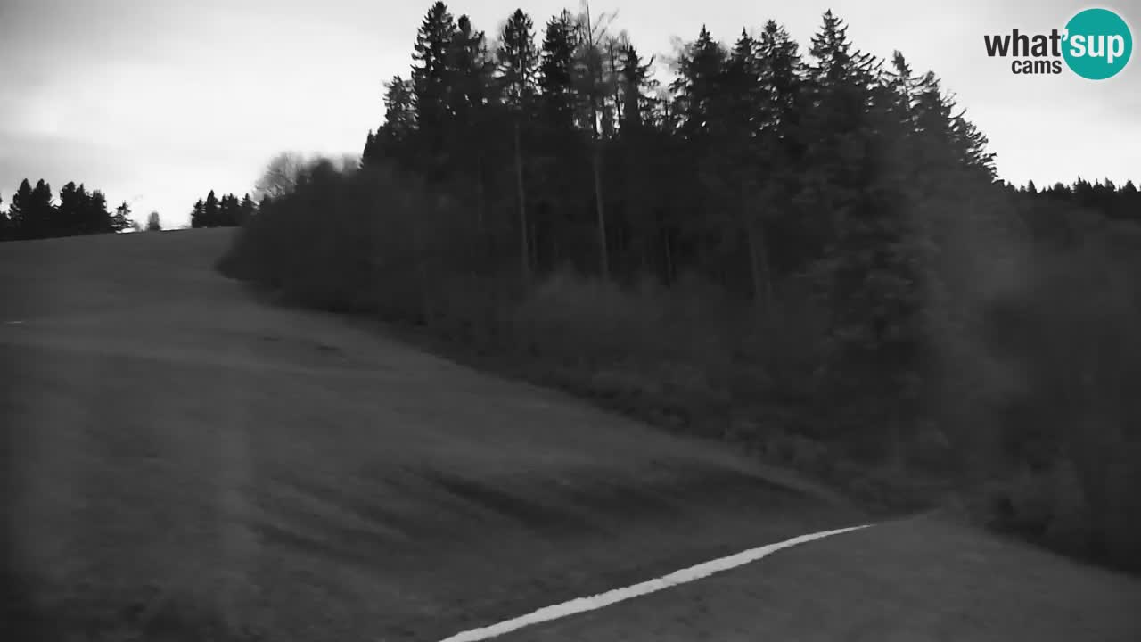 Stazione sciistica di Stari Vrh Webcam in diretta – Slovenia